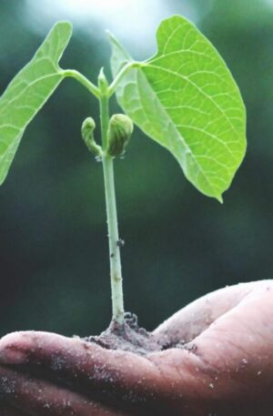 PAQUETE TRANSFORMACIÓN COMPLETA